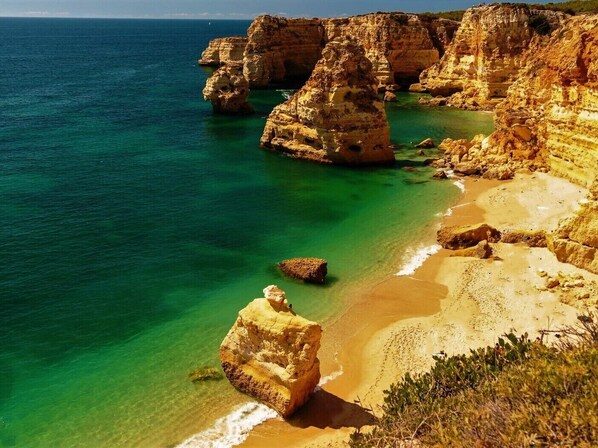 Plage à proximité, chaises longues, serviettes de plage