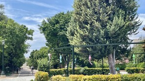 Een verhard pad langs gele bloemen en groene hagen, dat leidt naar een grote boom en een metalen constructie met decoraties.