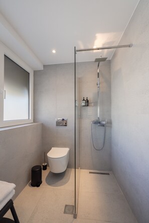 Shower, hair dryer