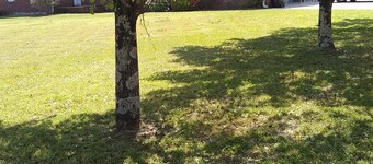 Nicely Furnished Bedroom & Private Bath. 