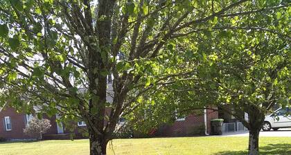 Nicely Furnished Bedroom & Private Bath.
