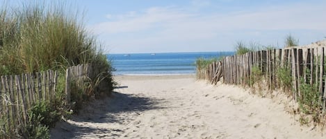 Ranta