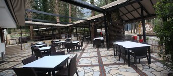 Hotel Sofo