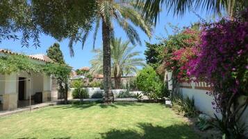 Terrein van de accommodatie