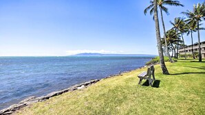 A coastal view with a bench, palm trees, and a building in the background. - Oceanfront, AC!, king bed, kayaks, pickleball, and beach stuff all included! (Kaunakakai)