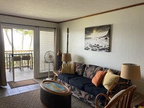 Smart TV, DVD player, books