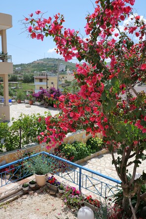 Front of property - Vila Genci (Ksamil)