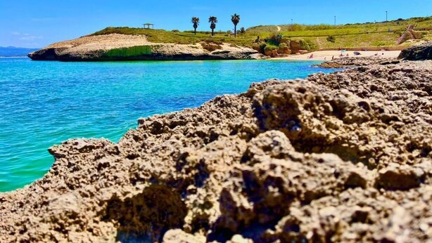 En klippefyldt kystlinje med klart, blåt vand, en græsdækket bakke med palmer og et sandstrand område.