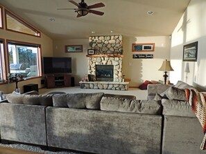 TV connectée, cheminée, lecteur de DVD, livres