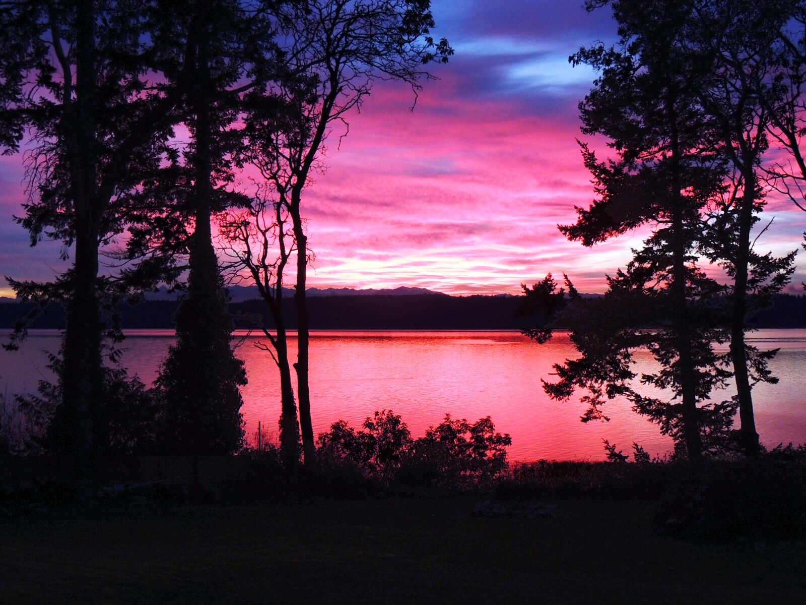Highbank waterfront with hot tub, firepit, crab boat, pots and THE best sunsets!