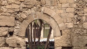 An arched stone window with a view of a palm tree and a building with striped awnings. - Frida Loft (Syracuse)