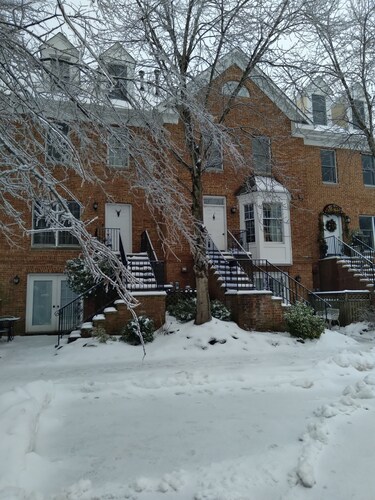 Middleburg Famous Horse Farm