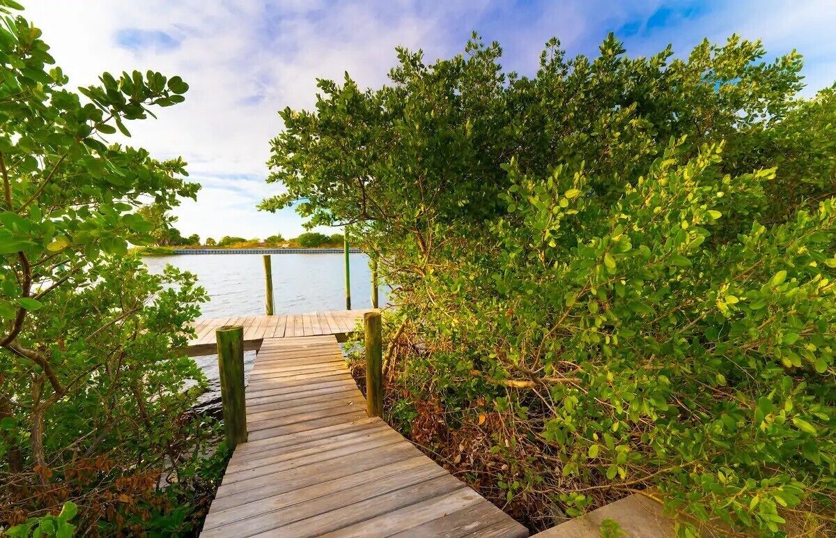 A wooden dock leading to a calm body of water, surrounded by lush greenery.