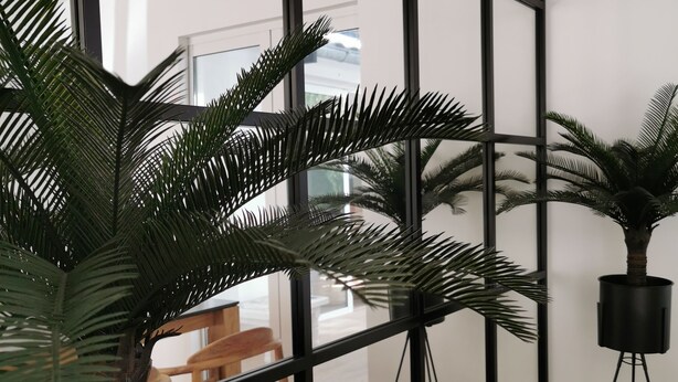 Un salon moderne avec un grand miroir à cadre noir, un palmier en pot et une chaise en bois.