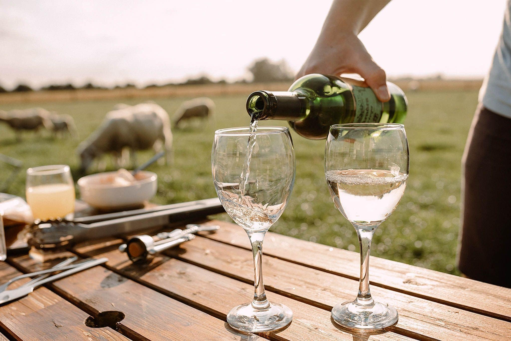 Ein Picknicktisch mit zwei Weingläsern, einer Weinflasche und einer Schüssel Essen.