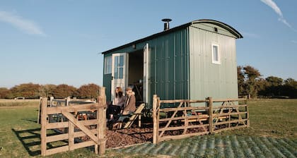 The Lookerer by Bloom Stays - a rural shepherds hut with amazing views!