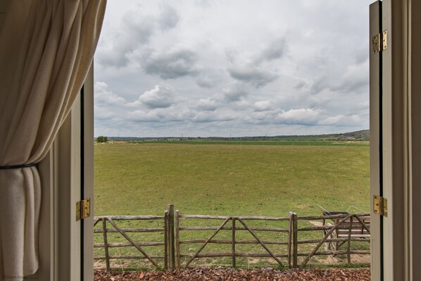 A view through a door with a wooden fence and a grassy field beyond.