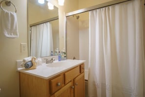 Combined shower/tub, hair dryer