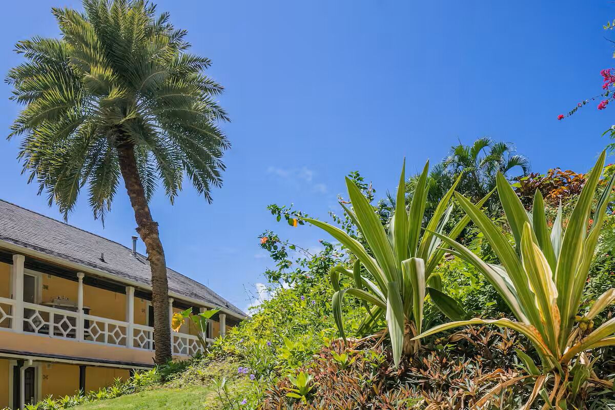 A building with a balcony, surrounded by tropical plants and a palm tree.