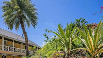 A building with a balcony, surrounded by tropical plants and a palm tree.