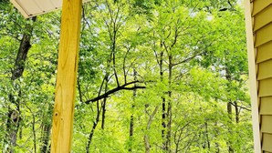 A wooden deck with a view of a forested area.