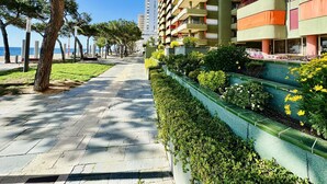 A pathway lined with trees and a building with balconies.