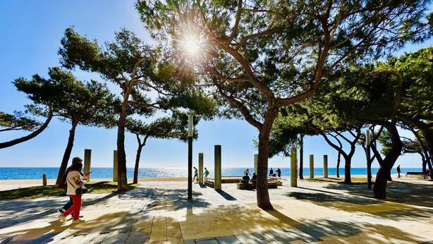A paved walkway with benches and trees, leading to a beach.