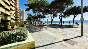 A paved walkway lined with trees and benches, leading to a beach.