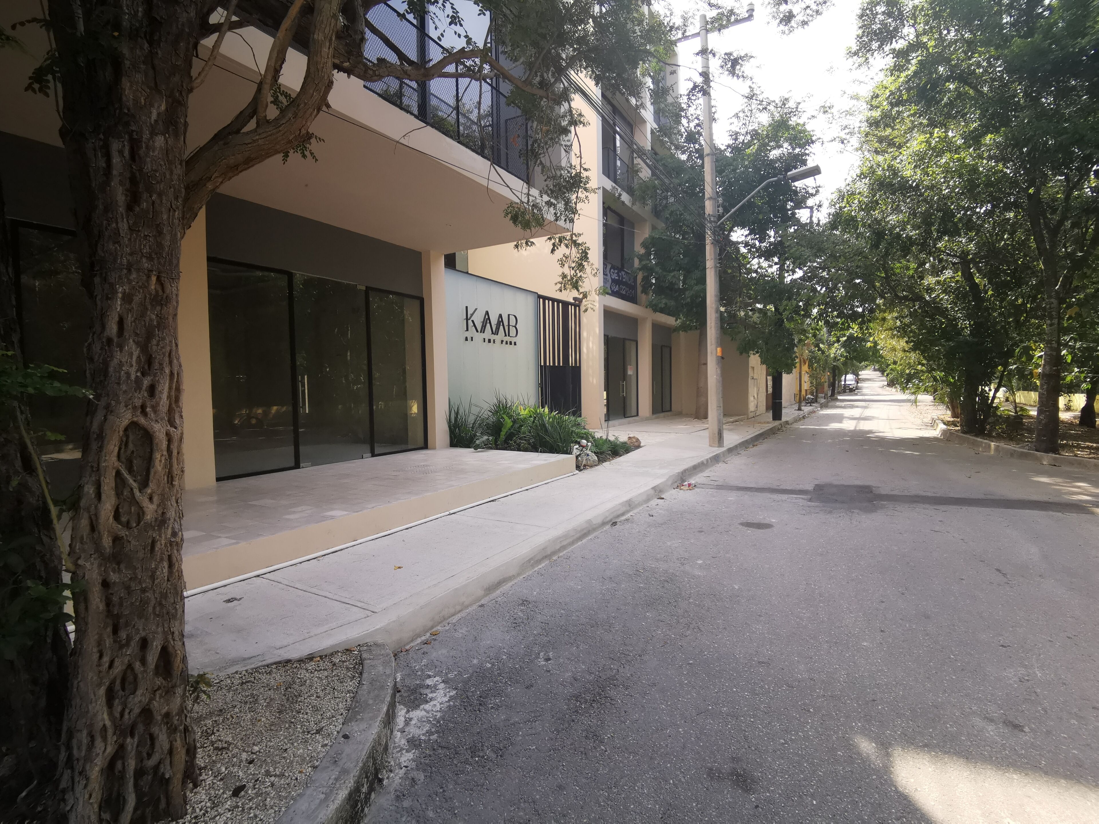 A modern building with a 'KAAB at the Park' sign, a tree-lined street, and a clear sky.