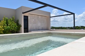 奢華頂樓客房, 3 間臥室, 私人泳池, 公園景觀 | 客房內保險箱、獨特裝潢、布置獨特、書桌