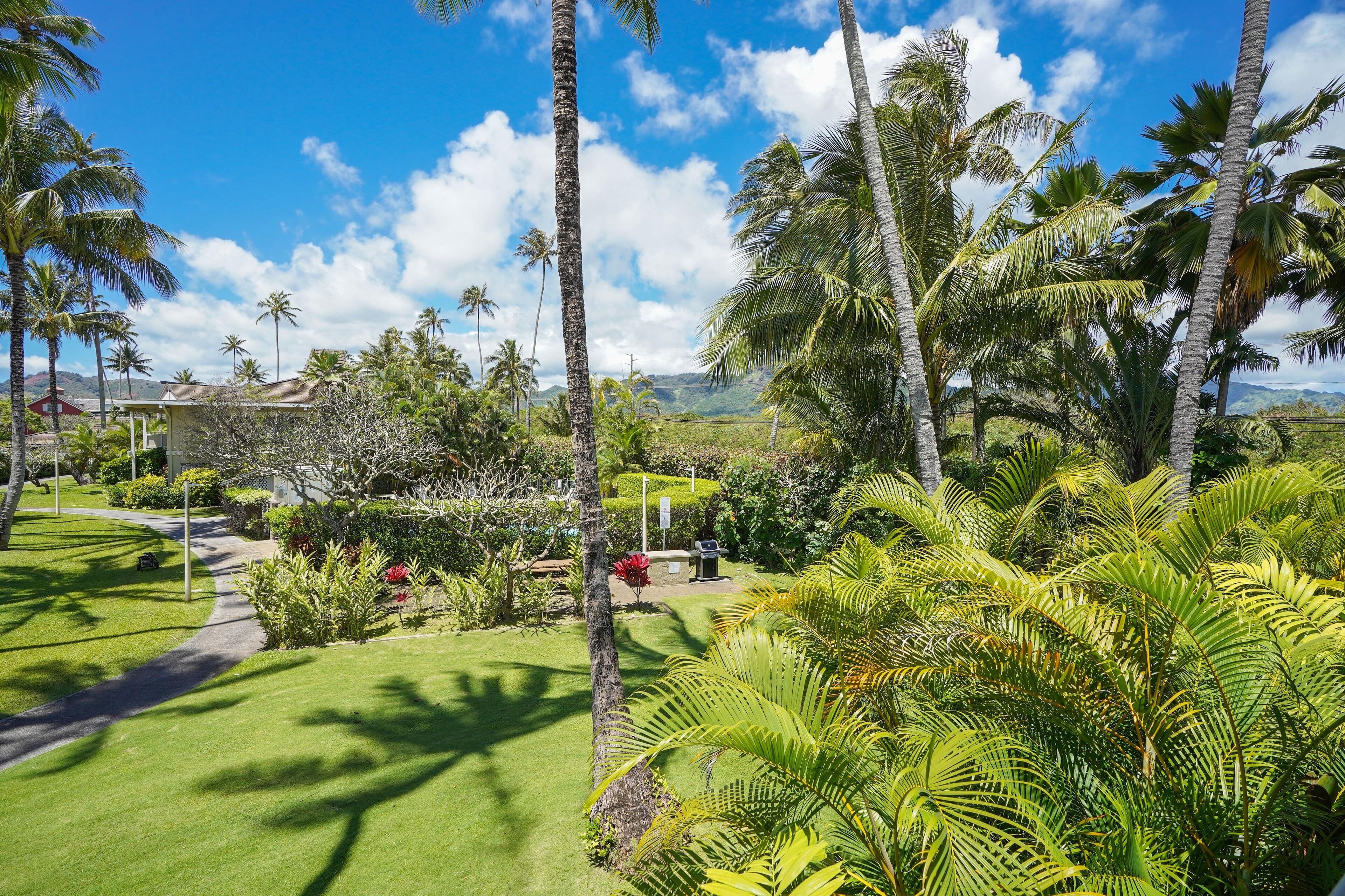 A tropical garden with palm trees, a pathway, and a building in the background.