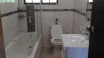 Combined shower/tub, soap, toilet paper