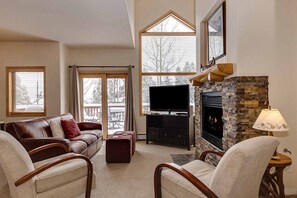 Smart TV, fireplace, DVD player, books
