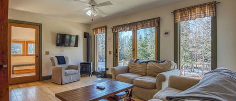 TV, DVD player, books