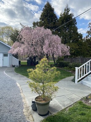 المنطقة المحيطة بالمنشأة