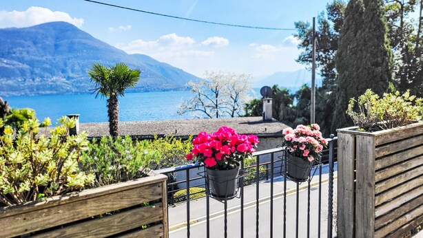 A balcony with potted plants and a view of a lake and mountains.