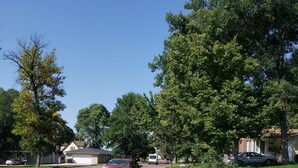A residential street with houses, a sidewalk, and parked cars. - #3 Bohemian Rest Place  (Watertown)