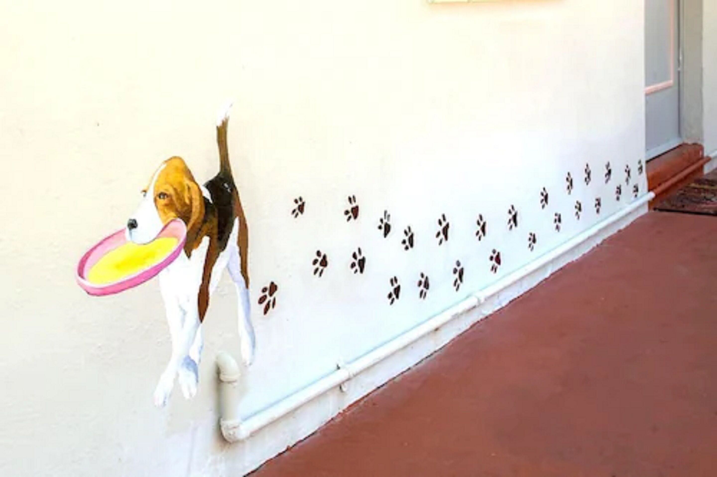 Un perro salta contra una pared con un disco rosa en la boca.