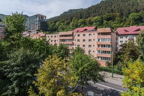 Exterior - Charming Apart/Surrounded by Forest/Relaxing/WIFI (Brașov)
