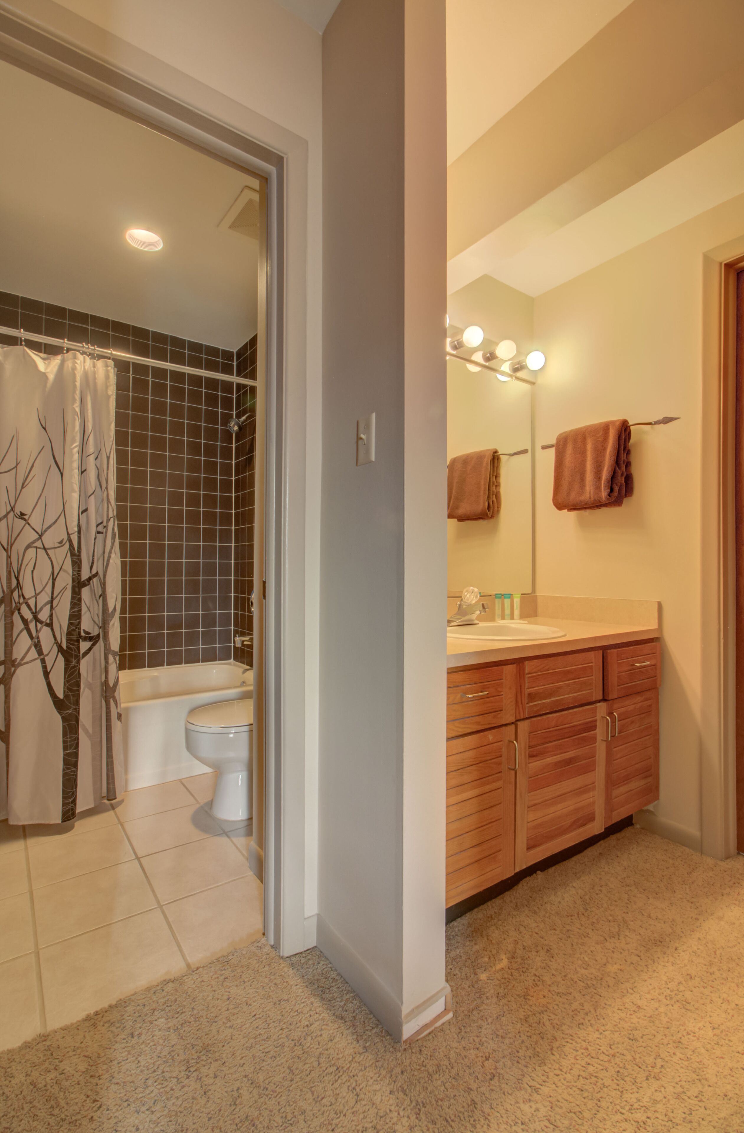 A bathroom with a bathtub, toilet, and vanity with a mirror and lights.