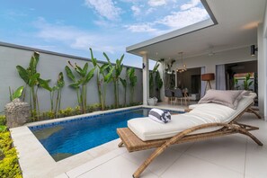 Private pool - Villa Shiva (Sukasada)