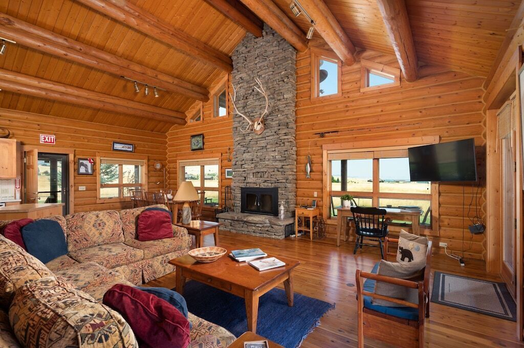 TV connectée, cheminée, lecteur de DVD, livres