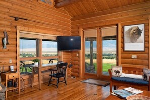 Smart TV, fireplace, DVD player, books