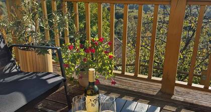 Holiday home Stopar vineyard