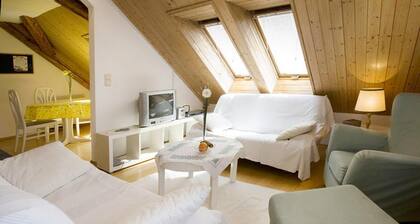 Helle Ferienwohnung "Bregenz 8 Top 4" mit WLAN, Terrasse & Garten