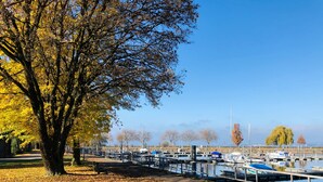 A tree-lined walkway leading to a marina with boats docked. - Charming Apartment "Bregenz 6 Top 1" in Central Location with Wi-Fi, Terrace & Garden (Bregenz)