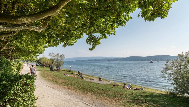 A lakeside path with trees, a sandy area, and boats on the water. - Cozy Holiday Apartment "Alina" with Garden Seating, Wi-Fi, Non-Smoking (Singen)