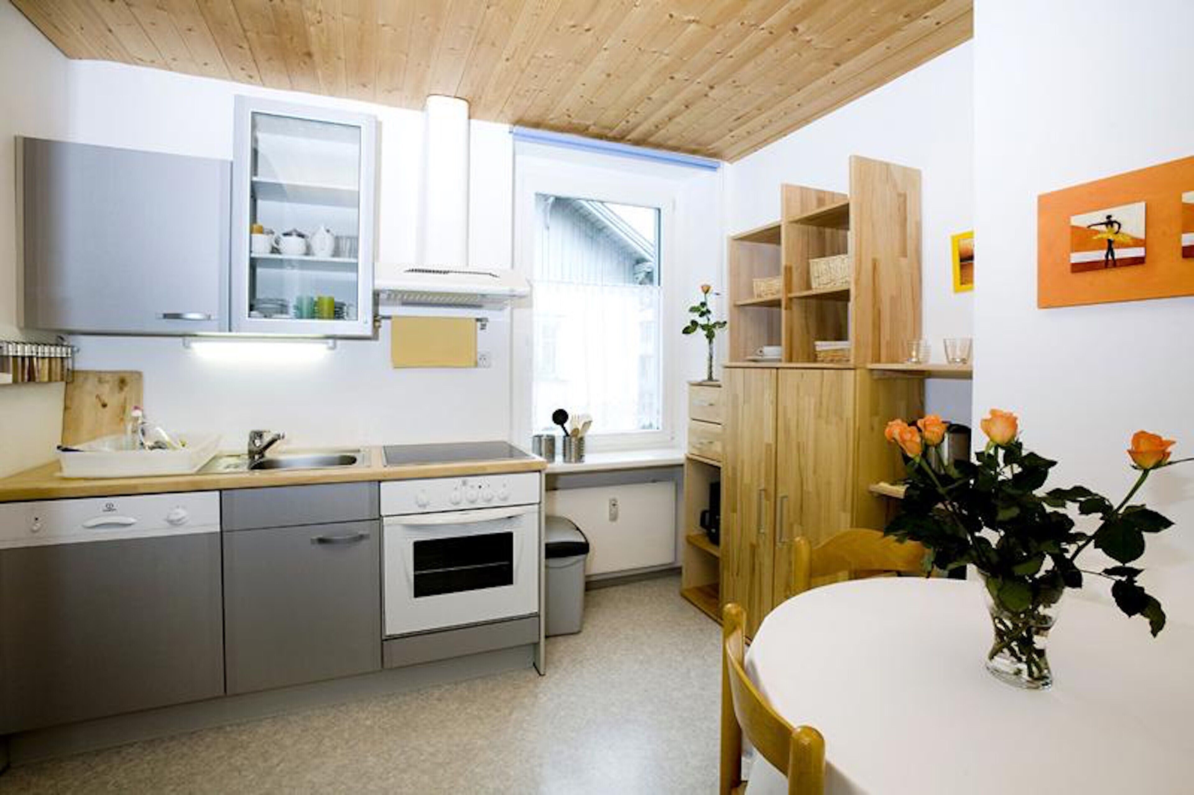 Kühlschrank, Ofen, Herdplatte, Geschirrspüler