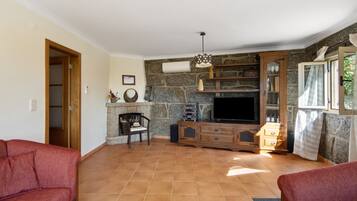 Televisión, chimenea