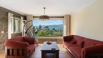 Televisión y chimenea